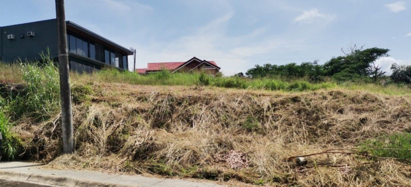 Prime 247 SQM Lot For Sale In Southpeak Filinvest, Phase 1, San Pedro, Laguna