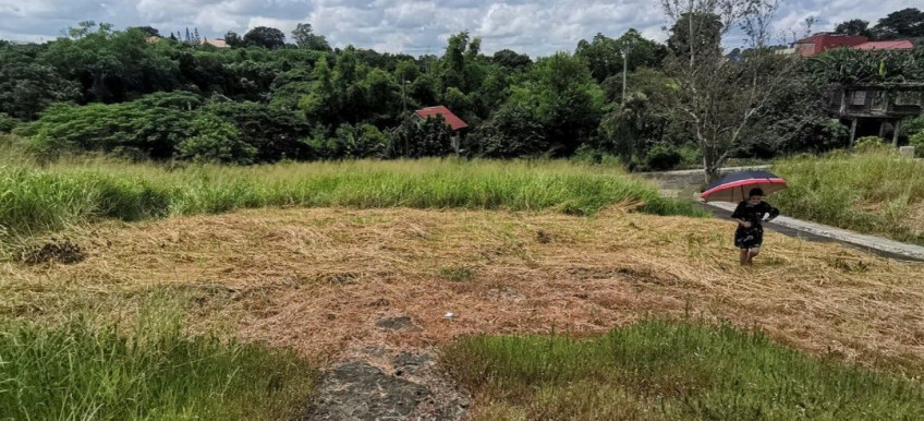 Prime 247 SQM Lot For Sale In Southpeak Filinvest, Phase 1, San Pedro, Laguna