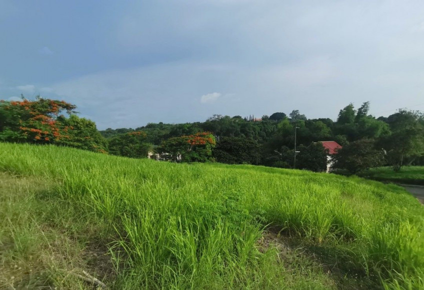 Prime 247 SQM Lot For Sale In Southpeak Filinvest, Phase 1, San Pedro, Laguna