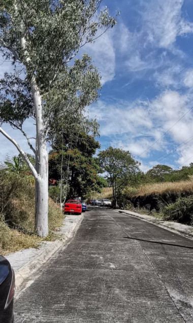 Prime 247 SQM Lot For Sale In Southpeak Filinvest, Phase 1, San Pedro, Laguna