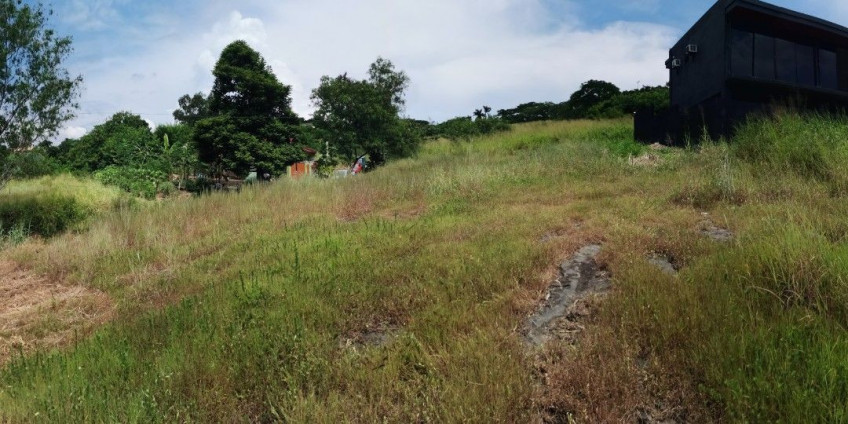 Prime 247 SQM Lot For Sale In Southpeak Filinvest, Phase 1, San Pedro, Laguna