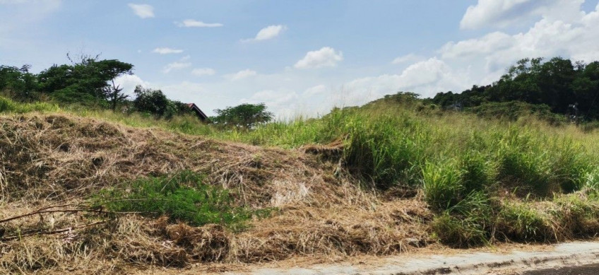 Prime 247 SQM Lot For Sale In Southpeak Filinvest, Phase 1, San Pedro, Laguna