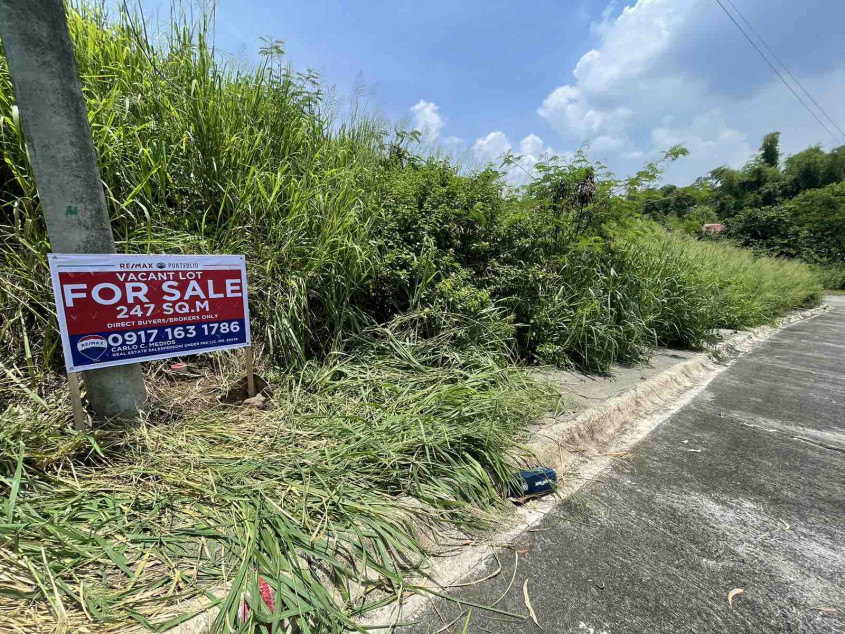 Prime 247 SQM Lot For Sale In Southpeak Filinvest, Phase 1, San Pedro, Laguna