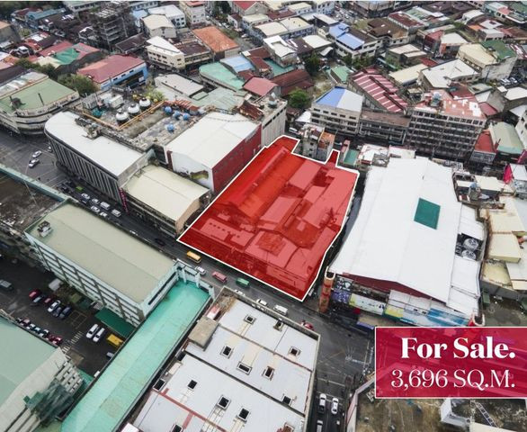 PROPERTY # 11481  For Sale 3,696 SQM Commercial Property at Colon Street, Cebu City