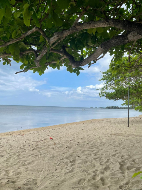 318 SQM Beach Lot For Sale In Playa, Calatagan, Batangas | Prime Beachfront Property