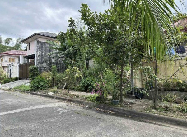 300 SQM Vacant Lot For Sale In Sacred Heart Village, Quezon City | Prime Residential Property