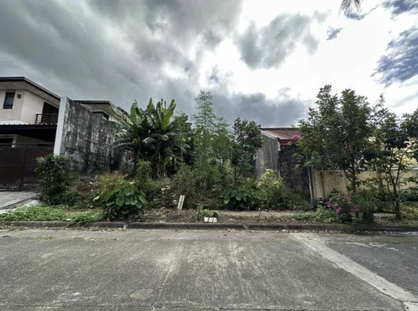 300 SQM Vacant Lot For Sale In Sacred Heart Village, Quezon City | Prime Residential Property