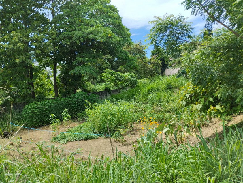 Vacant Lot For Sale In Woodridge Heights, Marikina City | Beside Loyola Grand Villas and La Vista