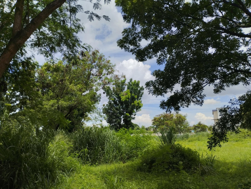 Vacant Lot For Sale In Woodridge Heights, Marikina City | Beside Loyola Grand Villas and La Vista