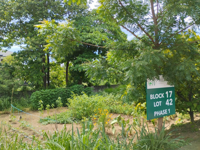 Vacant Lot For Sale In Woodridge Heights, Marikina City | Beside Loyola Grand Villas and La Vista