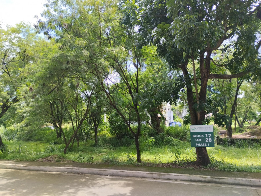 Vacant Lot For Sale In Woodridge Heights, Marikina City | Beside Loyola Grand Villas and La Vista