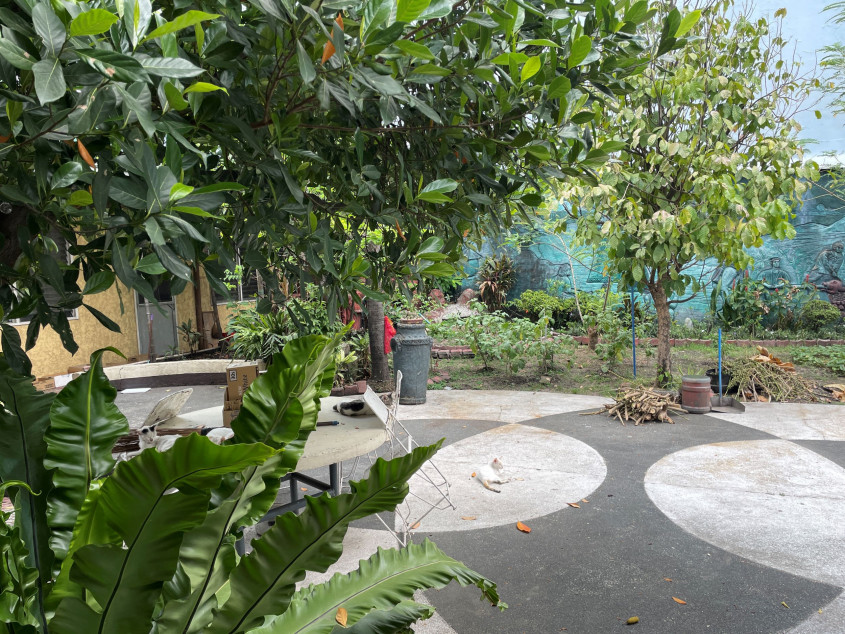 992 SQM House And Lot For Sale On 14th Street, New Manila, Quezon City | Prime Residential Property