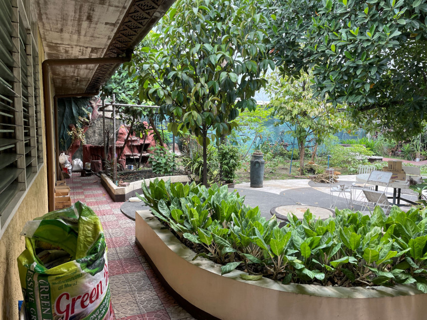 992 SQM House And Lot For Sale On 14th Street, New Manila, Quezon City | Prime Residential Property