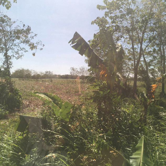 PROPERTY # 955 - or Sale 8 Hectares Lot Near Silay-Bacolod International Airport, Bacolod City