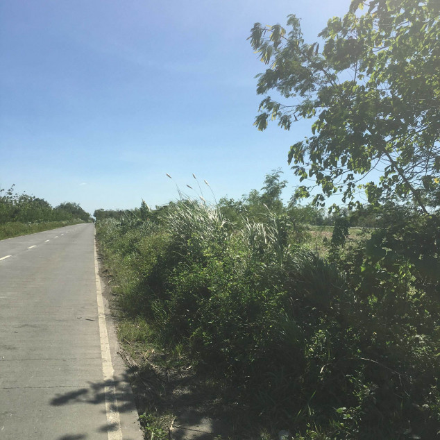 PROPERTY # 955 - or Sale 8 Hectares Lot Near Silay-Bacolod International Airport, Bacolod City