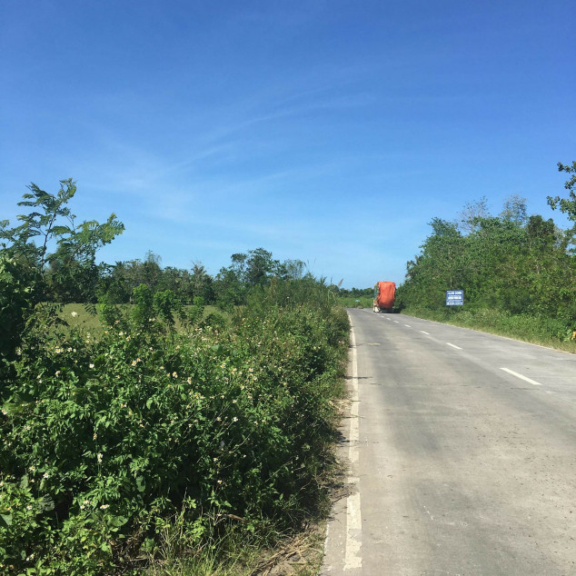 PROPERTY # 955 - or Sale 8 Hectares Lot Near Silay-Bacolod International Airport, Bacolod City