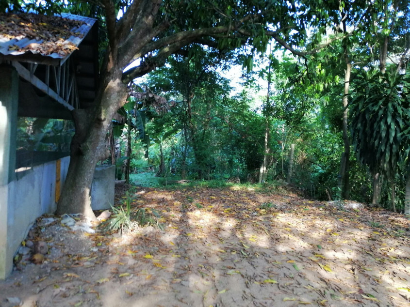 PROPERTY # 966 - For Sale Lot in Lataban, Brgy San Vicente, Liloan, Cebu