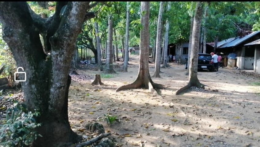 PROPERTY # 966 - For Sale Lot in Lataban, Brgy San Vicente, Liloan, Cebu