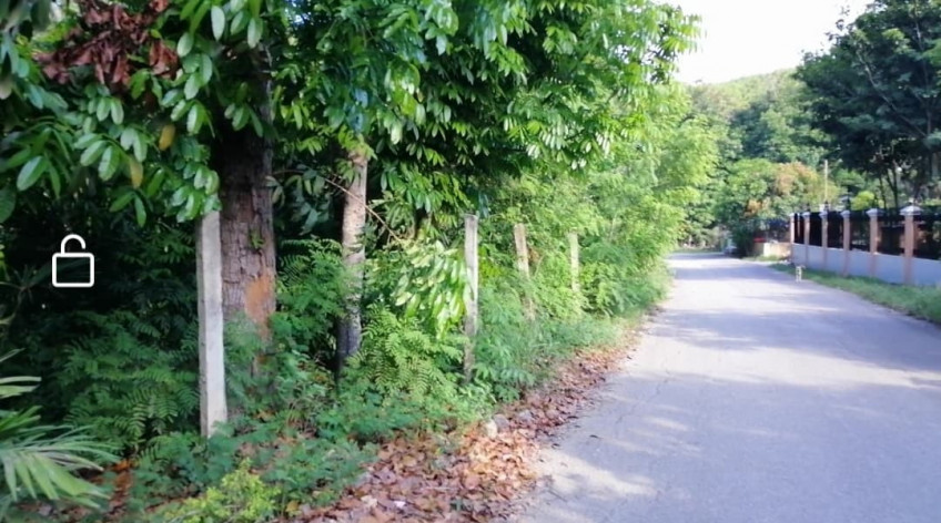 PROPERTY # 966 - For Sale Lot in Lataban, Brgy San Vicente, Liloan, Cebu