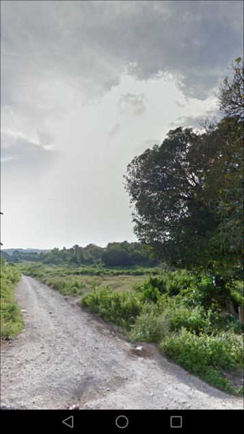 PROPERTY # 1058 - For Sale 1.1 Hectare Lot in Tilhaong, Consolacion, Cebu