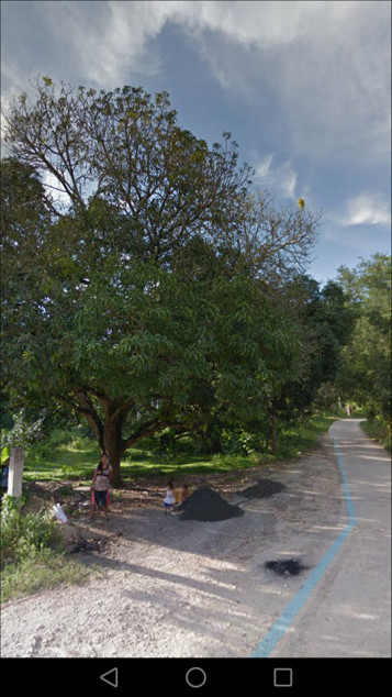 PROPERTY # 1058 - For Sale 1.1 Hectare Lot in Tilhaong, Consolacion, Cebu