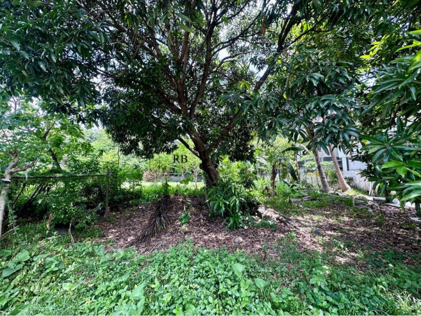 For Sale 767 SQM Vacant Lot in Corinthian Gardens, Quezon City