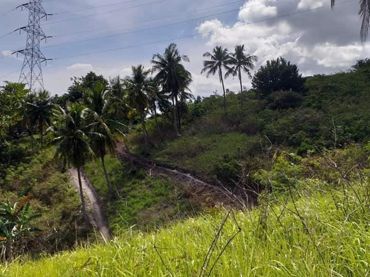 PROPERTY # 6006 - For Sale 2 Hectare Lot in Quiot Pardo, Cebu City