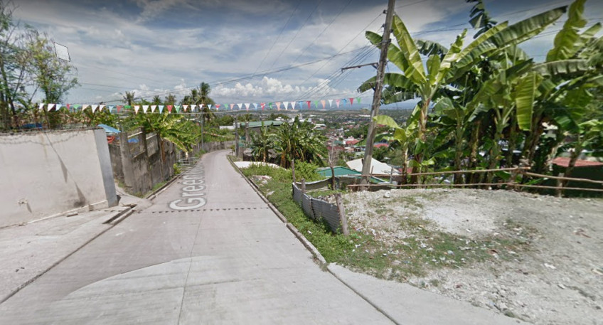 PROPERTY # 6006 - For Sale 2 Hectare Lot in Quiot Pardo, Cebu City