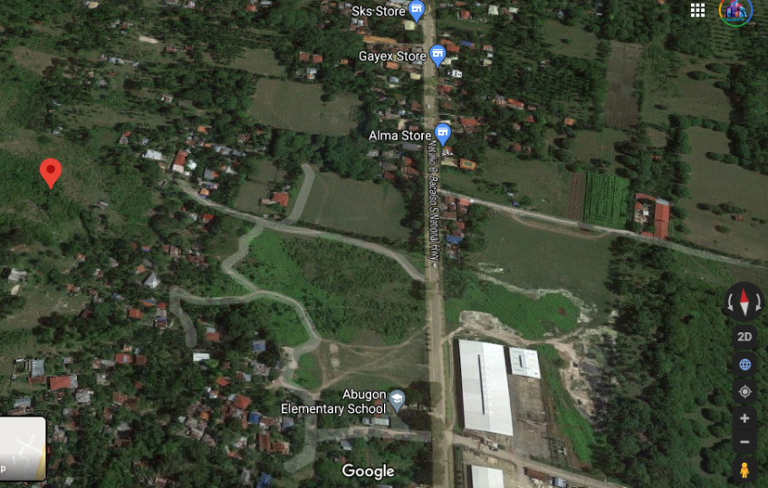 PROPERTY # 6036 - For Sale 12 Hectares Lot in Sibonga - Open for Joint Venture