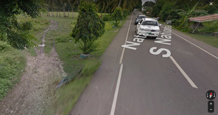 PROPERTY # 6036 - For Sale 12 Hectares Lot in Sibonga - Open for Joint Venture