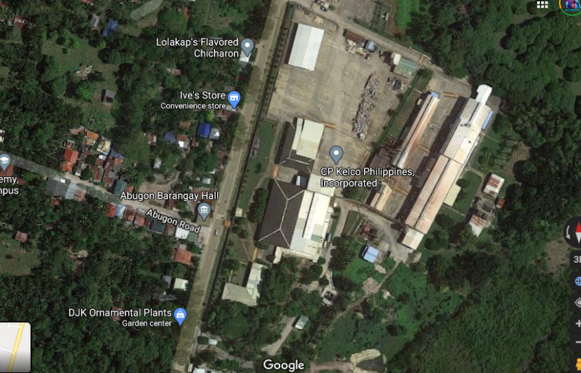 PROPERTY # 6036 - For Sale 12 Hectares Lot in Sibonga - Open for Joint Venture