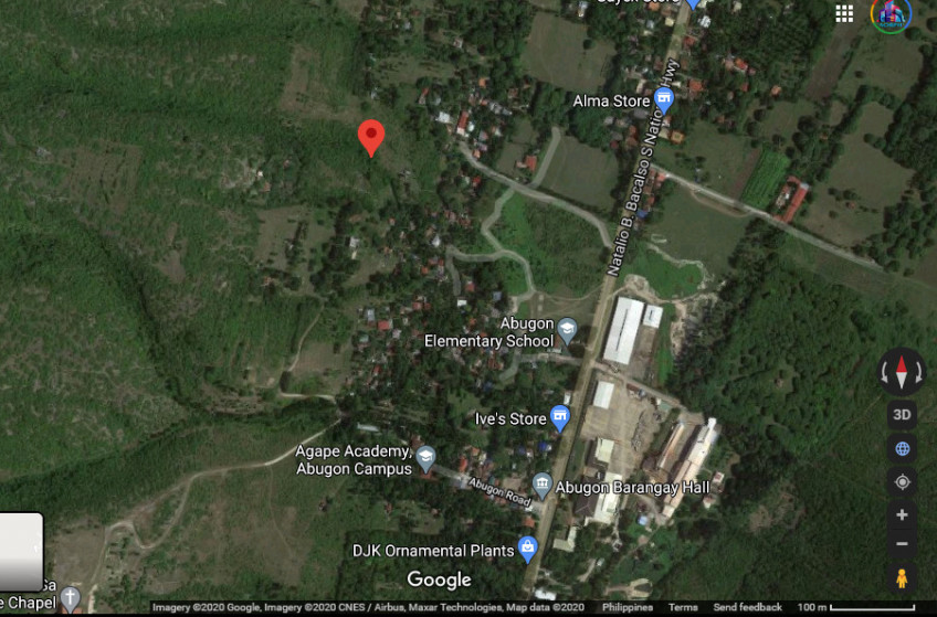 PROPERTY # 6036 - For Sale 12 Hectares Lot in Sibonga - Open for Joint Venture