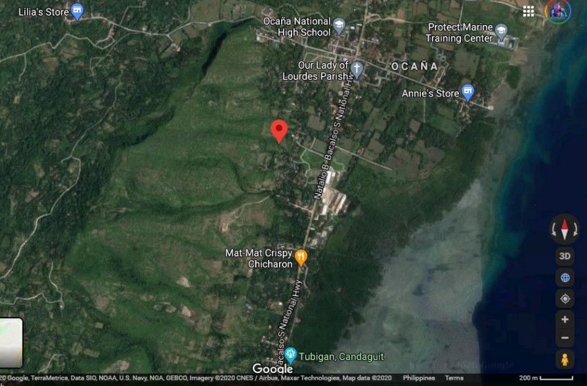 PROPERTY # 6036 - For Sale 12 Hectares Lot in Sibonga - Open for Joint Venture
