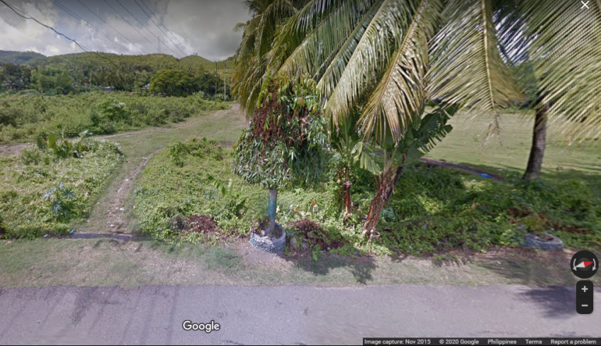 PROPERTY # 6036 - For Sale 12 Hectares Lot in Sibonga - Open for Joint Venture