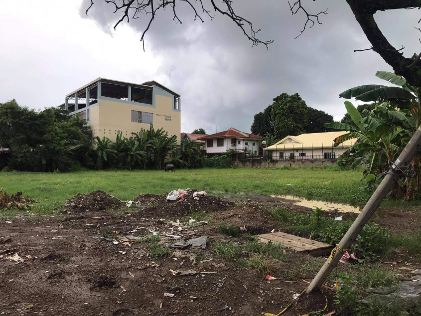 PROPERTY # 11412 For Sale 1,211 SQM Lot in Dumlog, Talisay City