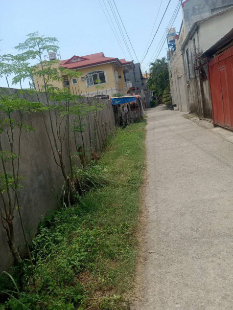 PROPERTY # 11412 For Sale 1,211 SQM Lot in Dumlog, Talisay City