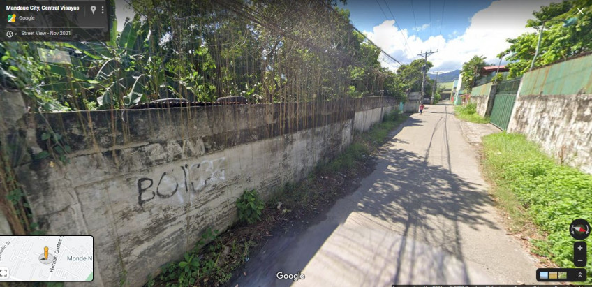 PROPERTY # 8003 - For Rent Lot for Warehouse in Hernan Cortes, Mandaue
