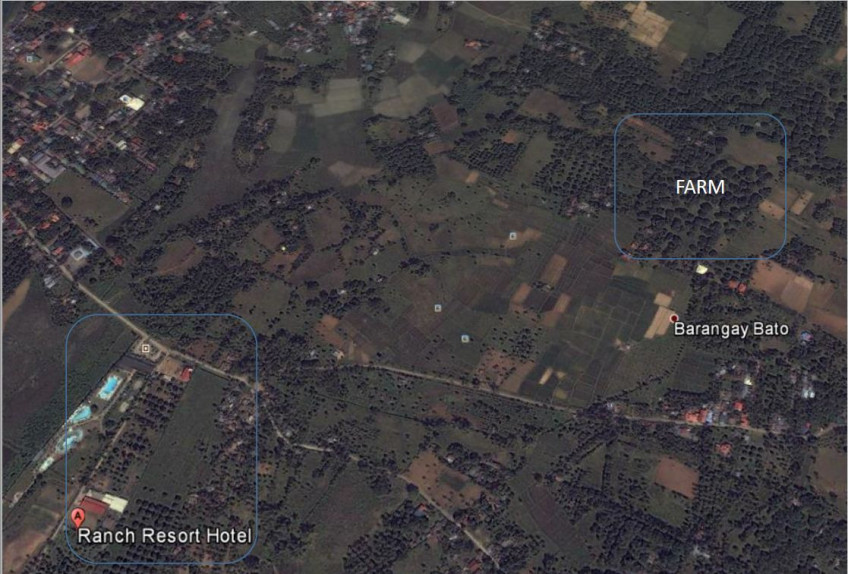 PROPERTY # 8054 - Lot for Sale in Looc Bato, Toledo - Ideal for Subdivision
