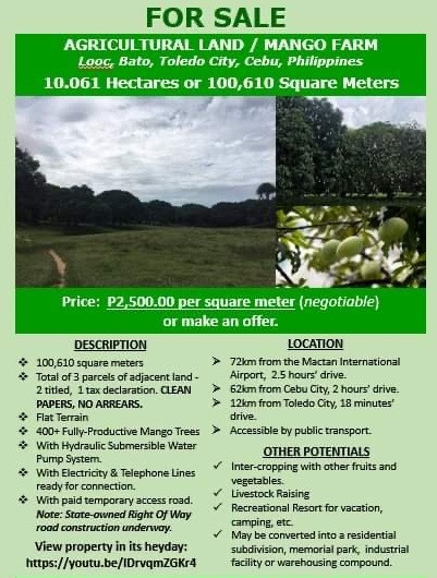 PROPERTY # 8054 - Lot for Sale in Looc Bato, Toledo - Ideal for Subdivision
