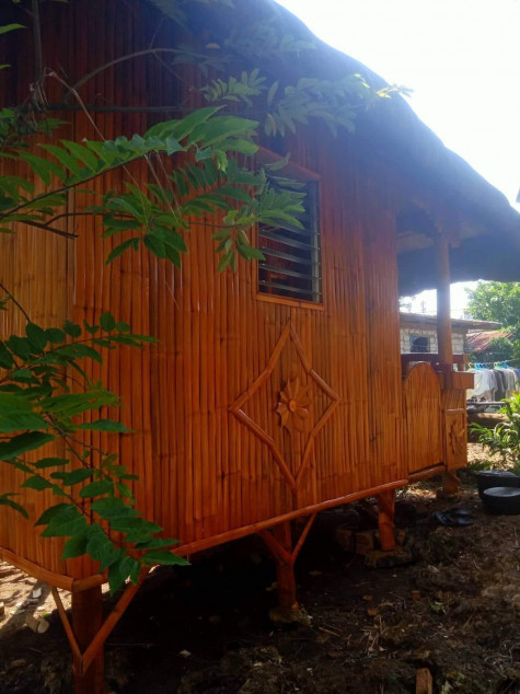 PROPERTY # 8057 - For Sale Lot in Sudtunggan Road, Basak, Lapu-Lapu City