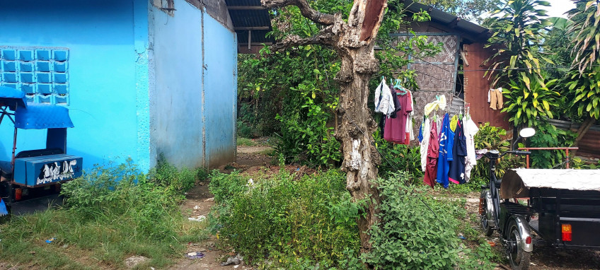 PROPERTY # 8057 - For Sale Lot in Sudtunggan Road, Basak, Lapu-Lapu City