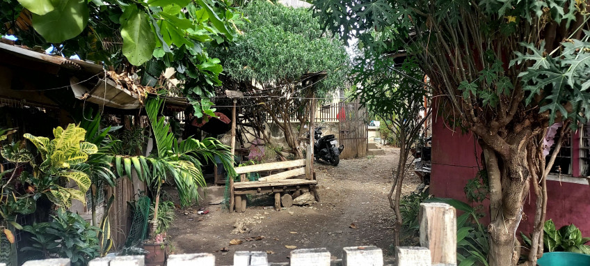 PROPERTY # 8057 - For Sale Lot in Sudtunggan Road, Basak, Lapu-Lapu City