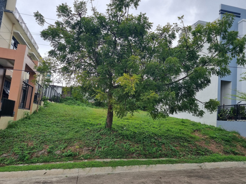 PROPERTY # 8078 - Lot for Sale in Molave Highland, Consolacion, Cebu