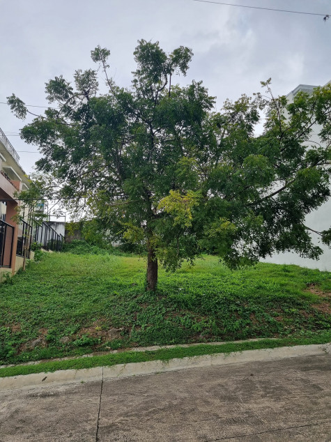 PROPERTY # 8078 - Lot for Sale in Molave Highland, Consolacion, Cebu