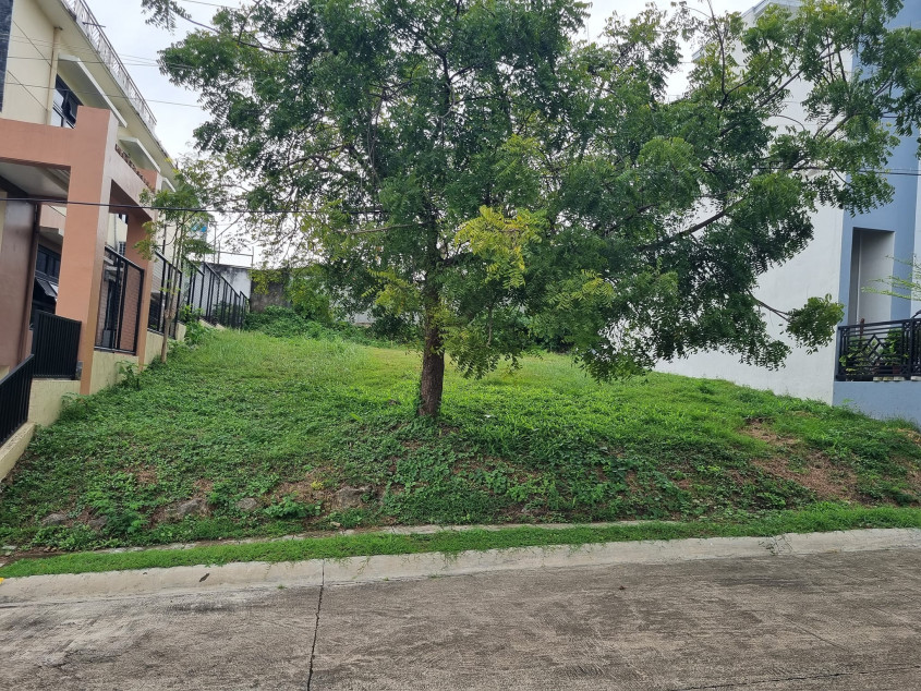PROPERTY # 8078 - Lot for Sale in Molave Highland, Consolacion, Cebu