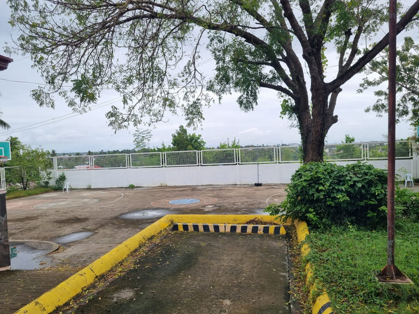 PROPERTY # 8078 - Lot for Sale in Molave Highland, Consolacion, Cebu