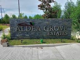Ayala Avida Land Alde Grove Estate House And Lot For Sale In Pampanga