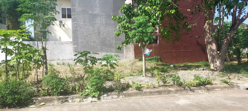 PROPERTY # 9012 - For Sale Lot In Mactan Tropics, Lapu-Lapu City