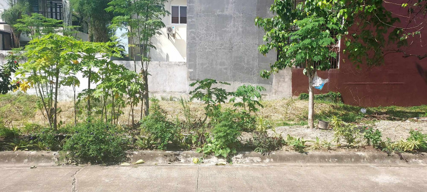 PROPERTY # 9012 - For Sale Lot In Mactan Tropics, Lapu-Lapu City