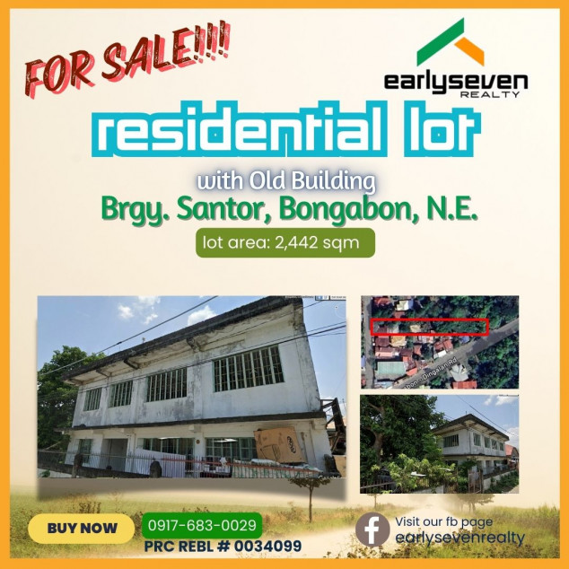 For Sale: Lot in Brgy. Santor, Bongabon, Nueva Ecija
